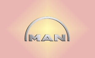 ✓ MAN 51.03100-6179 ГБЦ в сборе 