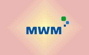 ✓ MWM 0224 8816 Запчасть MWM 